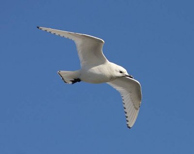 IMG_5107.JPG