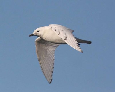 IMG_5804.JPG