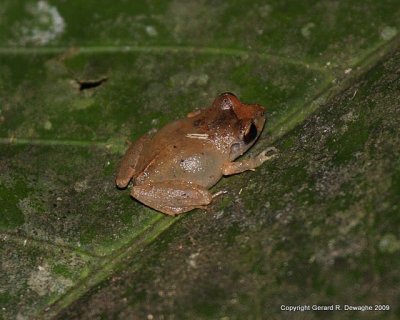 IMG_6275.JPG