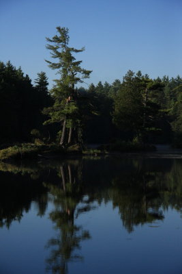 resized_0015.jpg