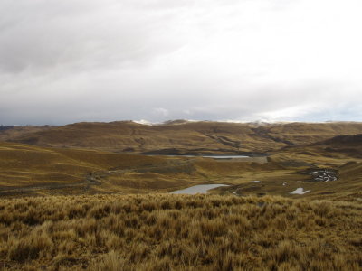 resized_0030.JPG