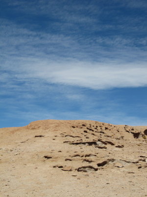 resized_0120.JPG