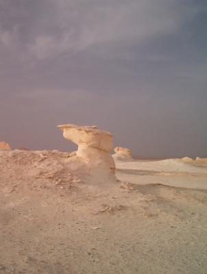 The White Desert is full of these free-standing wind-carved structures. A geologist's paradise!