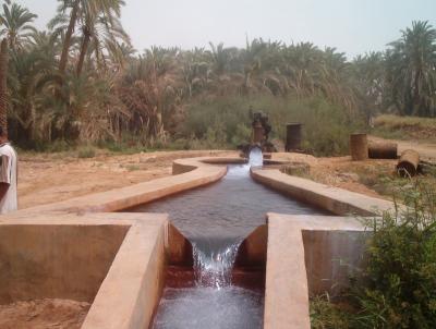 Water getting pumped out of the springs in the oasis