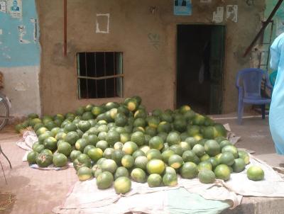 Best watermelons I've ever tasted!