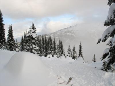 Is it a tree, or just a hill of wind-blown snow?