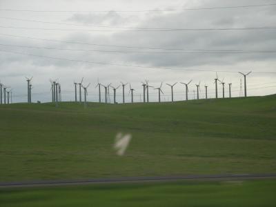 Windmill farm