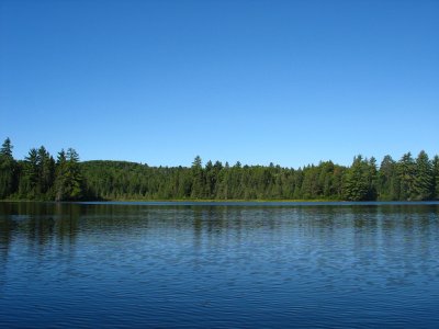 resized_0013.JPG