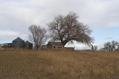 Barns of America
