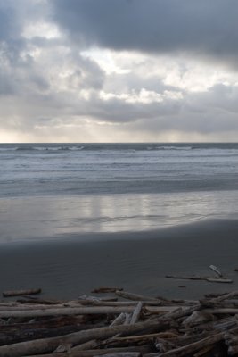 Kalaloch