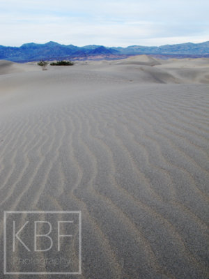 Mesquite Flats Dunes