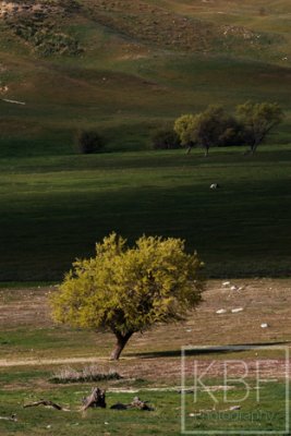 g3/64/645264/3/123947294.EvF8jnhS.jpg