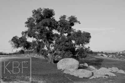 Warner Springs, CA