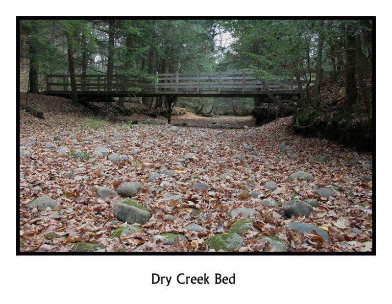 November 5, 2007      3106.jpg