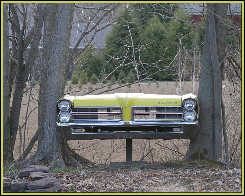 Seen along the road, Suffield CT