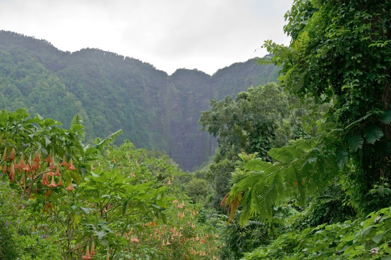 Waipio Valley
