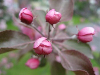 favorites_2009_2011
