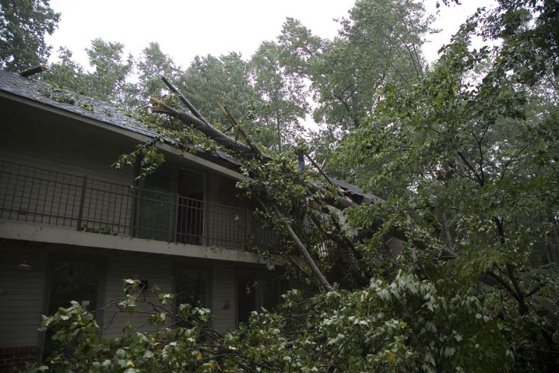 Storm Damage