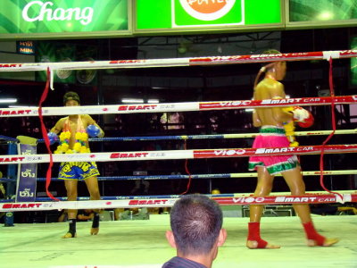 Thai Kick Boxing & VIDEO