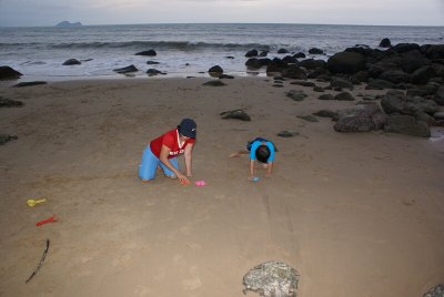 Sand Stars
