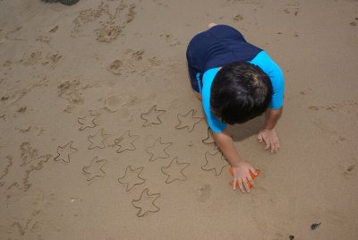All Those Starfish