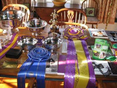 Westminster Prizes