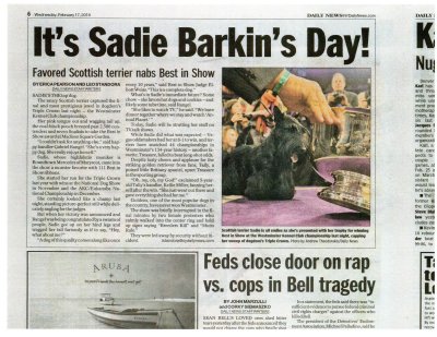 New York Daily News Sadie story