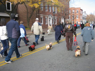 Scottish Parade December 1, 2007 in Alexandria, Virginia