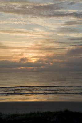 IMG_2396.jpg