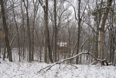 House in the Woods