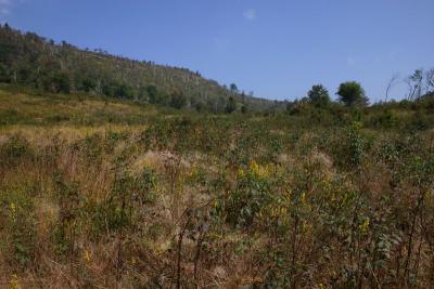 IMG_6659.JPG