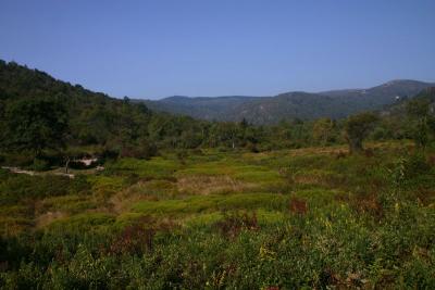 IMG_6725.JPG