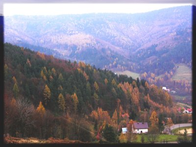 Valley in the Carpathian Mountains