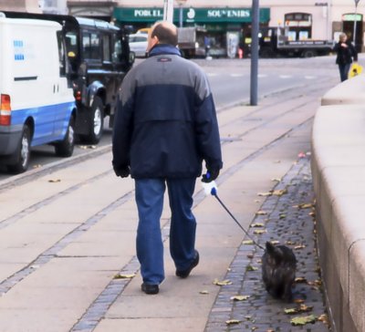 Walking The Dog
