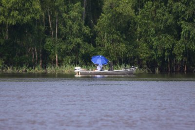 Atchafalaya - fishing in the shade