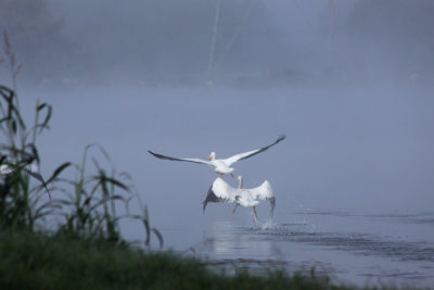 Liftoff in the fog