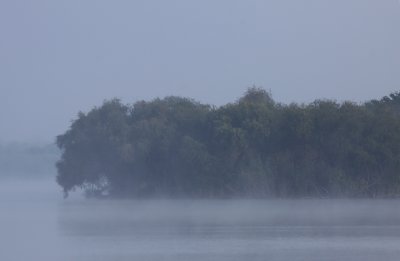 Fog melting away