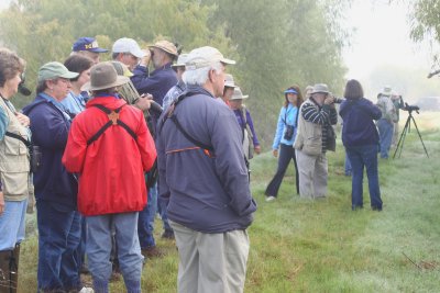 Birders in a Fog