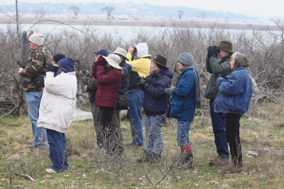 Too cold to be birding