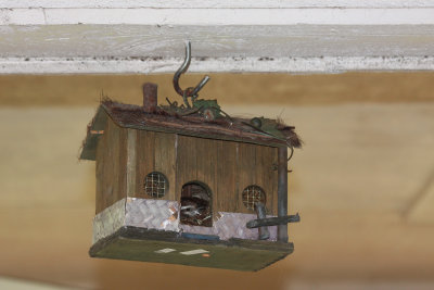 Decorative Bird House with Carolina Wren