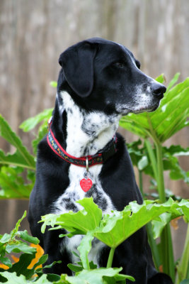 I am one with the plant!