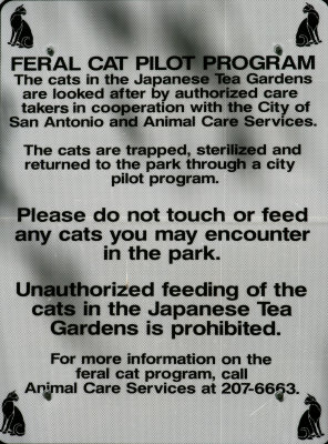 Feral Cats