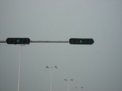 IMG_5915.jpg