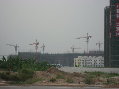IMG_5917.jpg