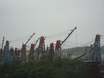 IMG_5947.jpg