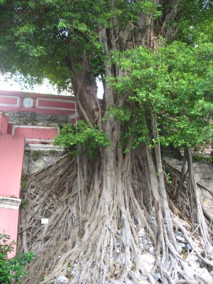 Macau 098.jpg