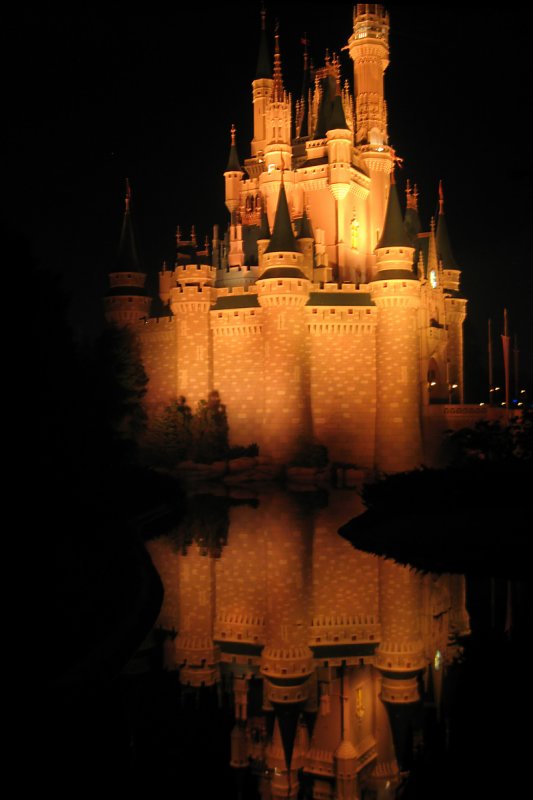 Cinderella Castle at night