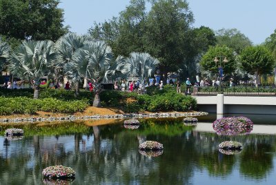 Epcot beauty