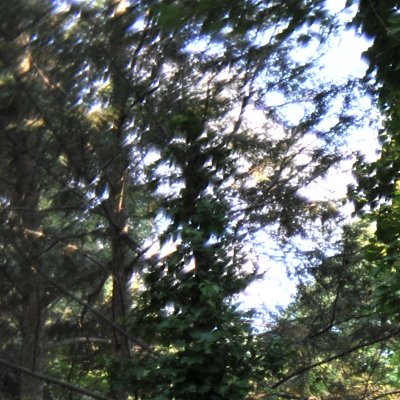 g3/64/825464/3/102873627.NyKeeSyC.jpg