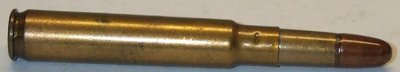 .318 Nitro with copper capped bullet